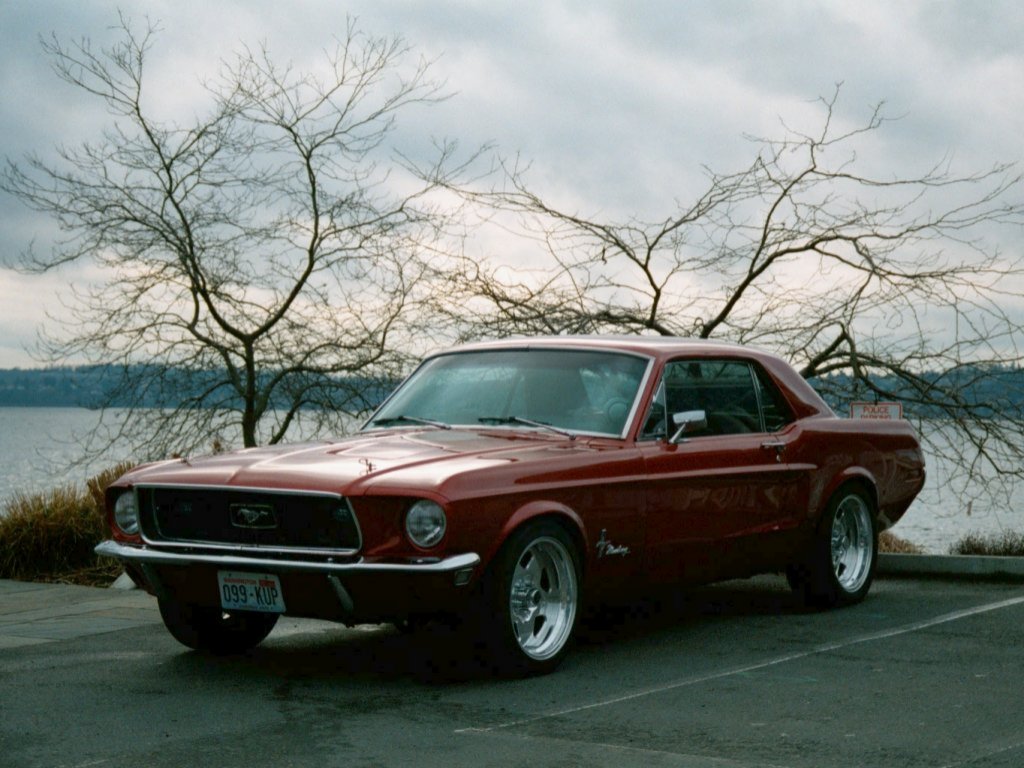 Ford_103_1